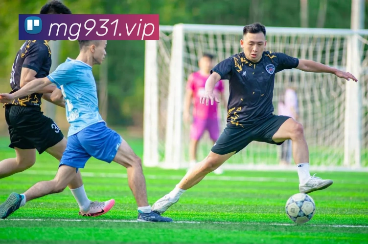 满贯体育全站App